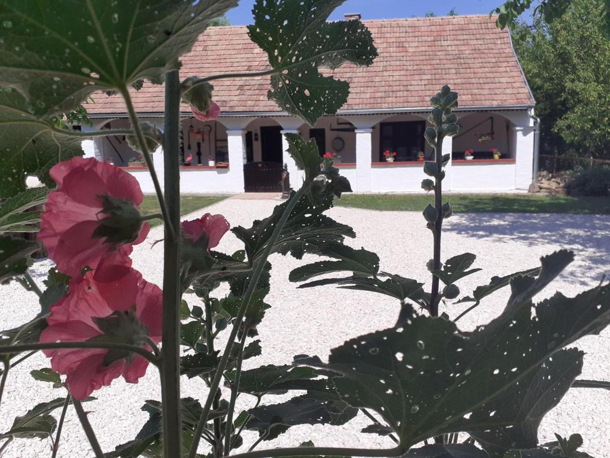Villa Letunt Idok Vendeghaz Kemenesmihalyfa Exterior foto