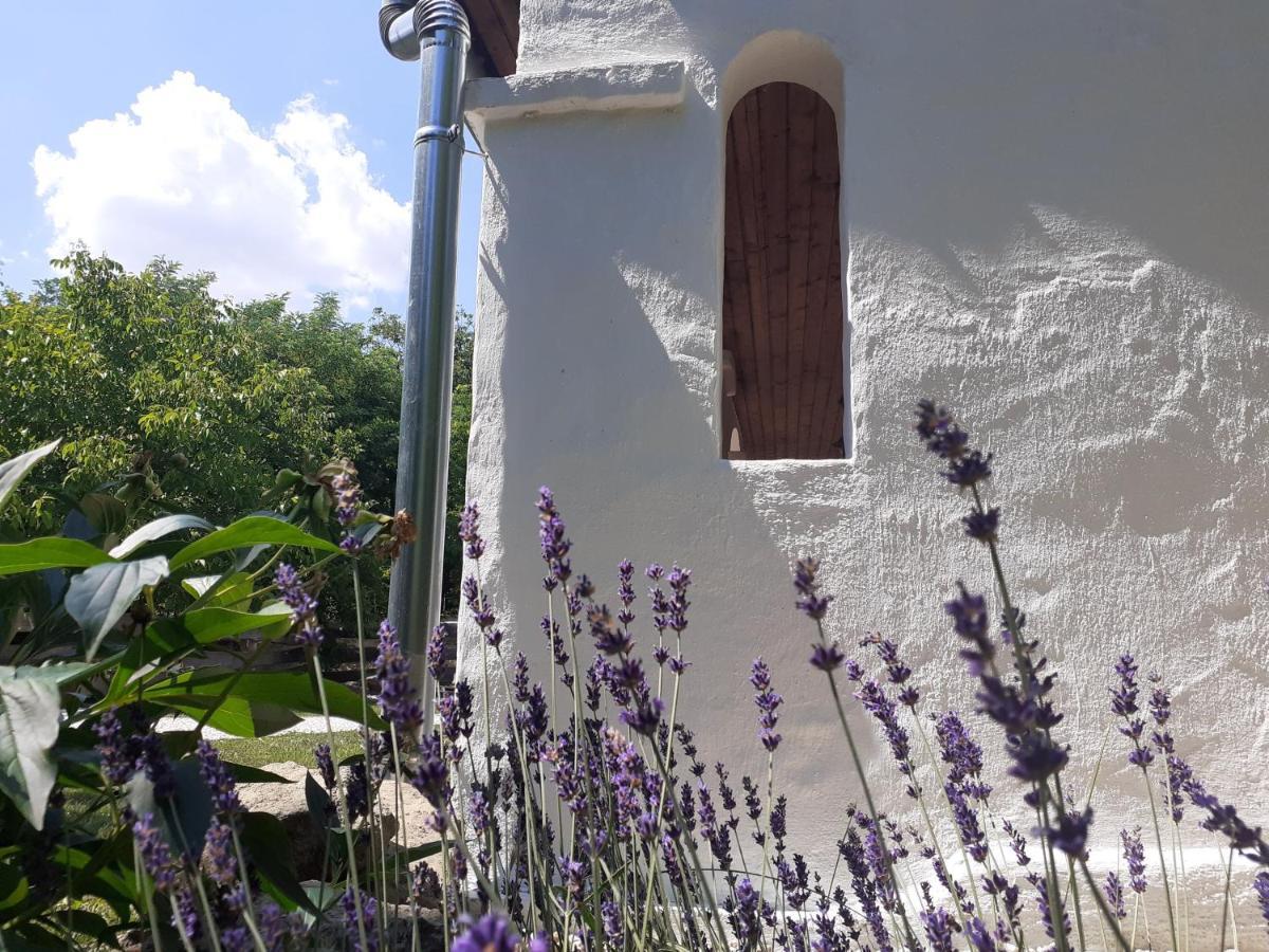 Villa Letunt Idok Vendeghaz Kemenesmihalyfa Exterior foto