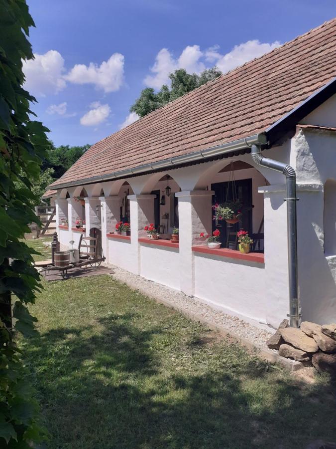 Villa Letunt Idok Vendeghaz Kemenesmihalyfa Exterior foto