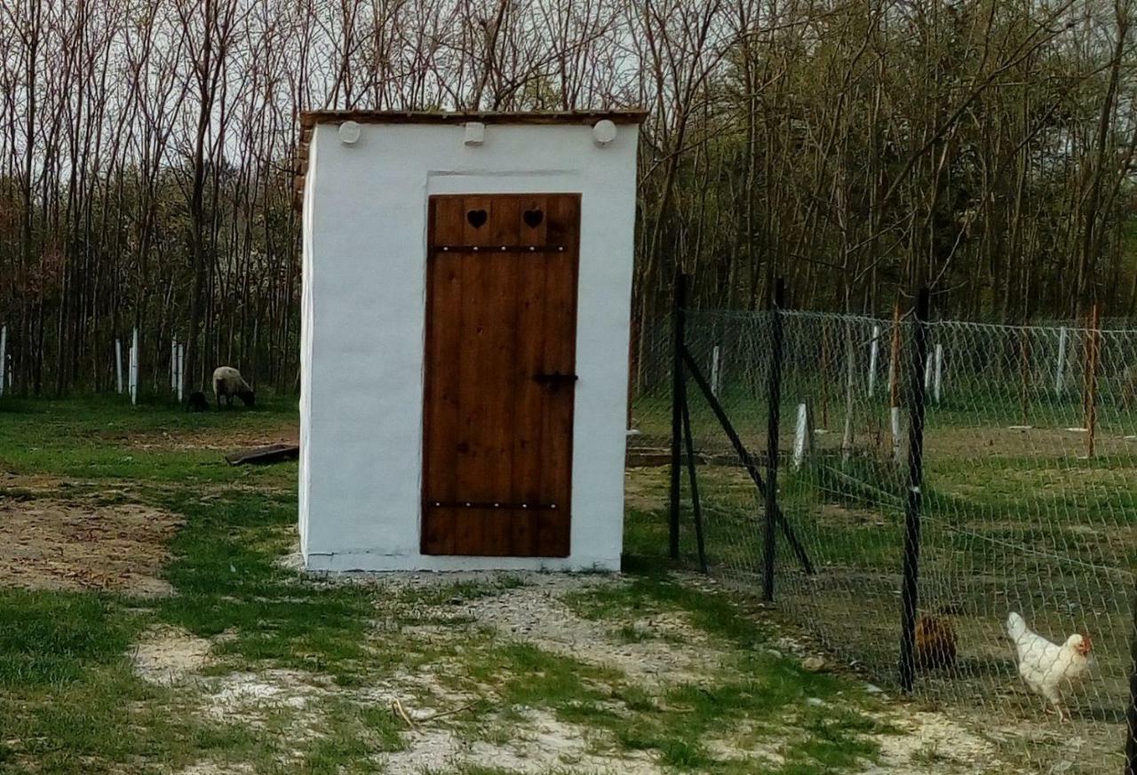 Villa Letunt Idok Vendeghaz Kemenesmihalyfa Exterior foto